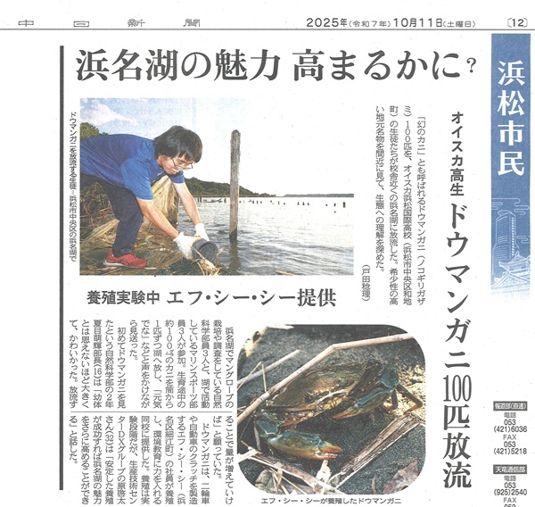 画像です