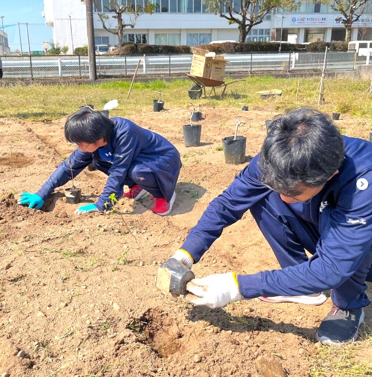 画像です