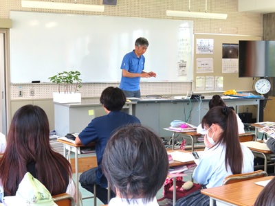 画像です