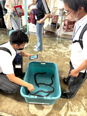 画像です