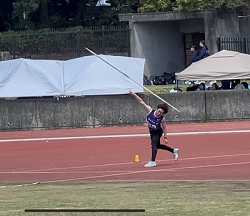 画像です