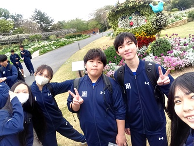 画像です