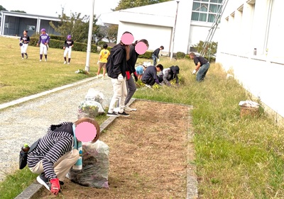 画像です