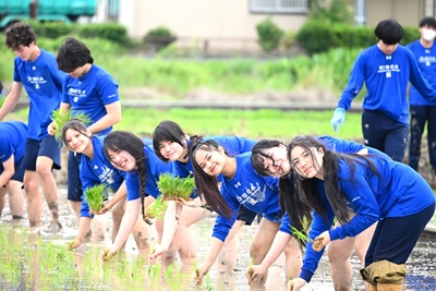 画像です