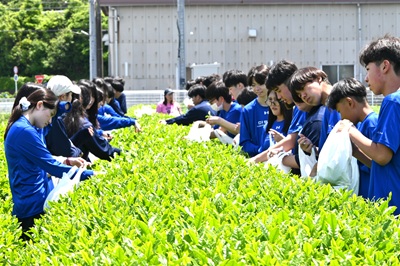 画像です