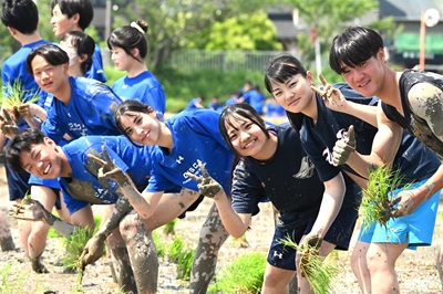 画像です