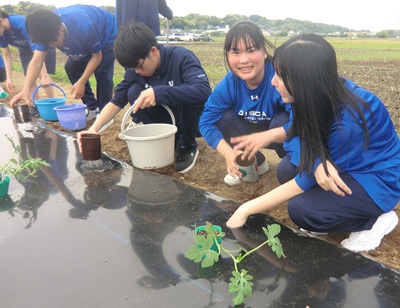 画像です